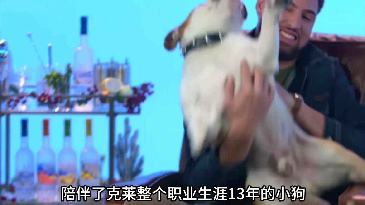 陪伴克萊13年的小狗去世了，不敢相信克萊得多么傷心